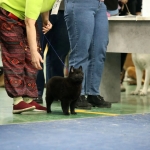 IMG_20260127_205834_047